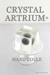 クリスタルアートリウム-HP.jpg