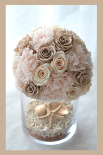 ラウンドシェルHP.jpg