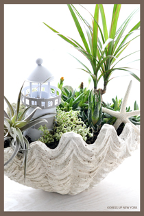 寄せ植え2018-Hp.jpg