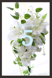 ５周年DRESS-UP-NEW-YORK-HP.jpg