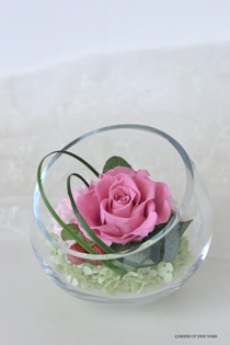 2023.1-HOME-DECO-HP.jpg