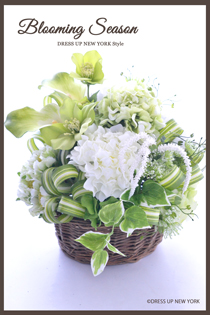 Blooming-Season-HP.jpg