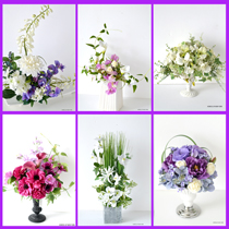 Clasical-Basic-集合写真　hp.jpg