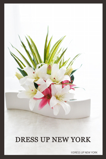 DSC_0116Liliy-HP.jpg