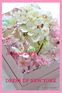 DSC_0755Sakura2HP.jpg