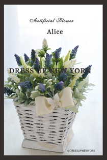 DSC_0764ALICEHP.jpg