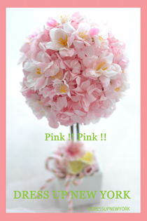 DSC_0979PinkHP.jpg