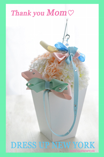 DSC_1299Thank-you-MomHP.jpg