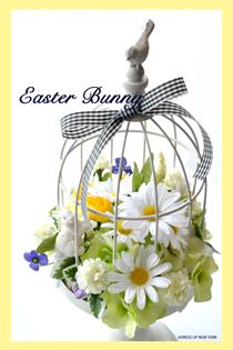 Easter-Bunny-Hp.jpg