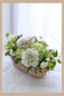 Fresh-Green2-HP.jpg
