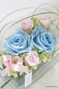 Pastel-dance-2-HP.jpg