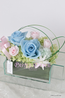 Pastel-dance-HP.jpg