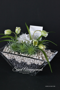 sand-Arrangement-3-HP.jpg